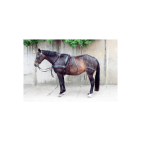 VÝPRODEJ POSTROJ DVOJSPŘEŽÍ BIOTHANE VADA NA NÁHŘBETNÍKU FULL